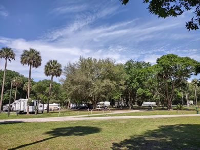 We always have a lot of birds chirping in the morning - We are surrounded by nature at Citra Royal Palm RV Park!