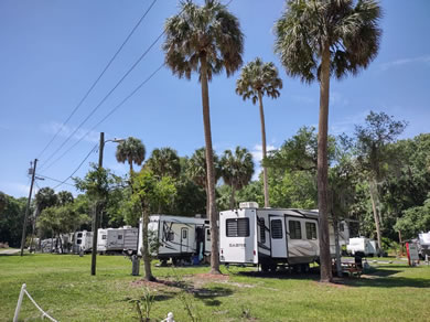 Full Hook Up RV Sites Available At Citra Royal Palm RV Park