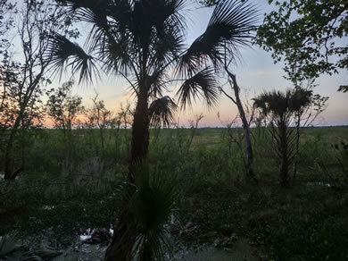 Sunset At The Rear Of Our Park Overlooking The savannah Surrounding Orange Lake At Citra Royal Palm RV Park