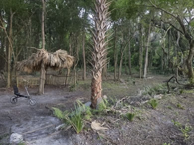 Tiki Shack In The Woods At Citra Royal Palm RV Park