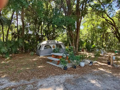 Tent Camping Sites For Rent At Citra Royal Palm RV Park