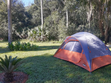 Tent Camper At Citra Royal Palm RV Park
