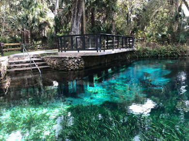 Visit Marion Counties' many freshwater springs near our RV Park