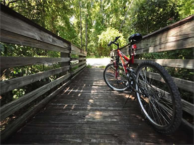 Bicycling along the Gainesville-Hawthorne State Trail