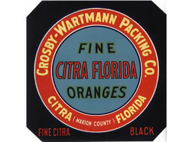 Label From A Historic Orange Grove In Citra