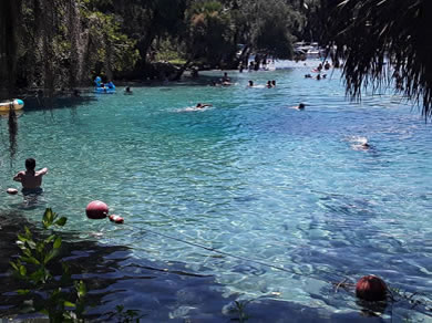 Bring Your Snorkeling Equipment to the Springs