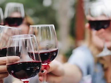Island Grove Winery 24703 SE 193rd Ave - Hawthorne, Fl 32640 - 352-481-9463 - Nearby Activities - Citra Florida Royal Palm RV Park Island Grove Winery 24703 SE 193rd Ave - Hawthorne, Fl 32640 - 352-481-9463 - Nearby Activities - Citra Florida Royal Palm RV Park