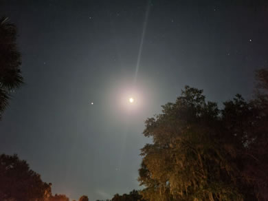 Night Sky At Citra Royal Palm RV Park