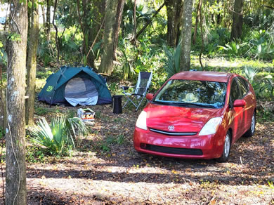 Tent Site at Citra Royal Palm RV Park