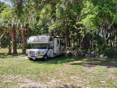 Short Term RV Sites Available At Citra Royal Palm RV Park