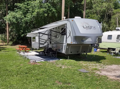 Full Hook Up RV Sites Available For Long Term At Citra Royal Palm RV Park In Ocala