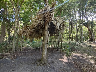 Tiki Hut Along Our Trail In The Woods At Citra Royal Palm RV Park