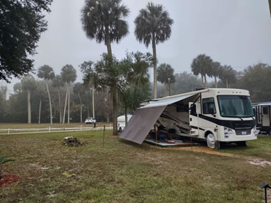 Full Hook Up RV Site At Citra Royal Palm RV Park