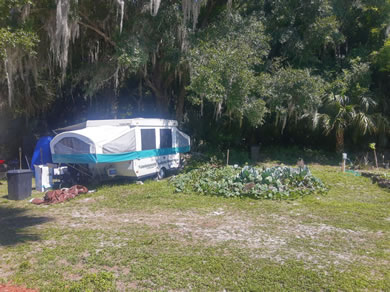 Pop Up Camper Next To Vegetable Garden At Citra Royal Palm RV Park