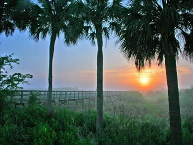 Look over Paynes Prarie and see so much nature near our RV Park