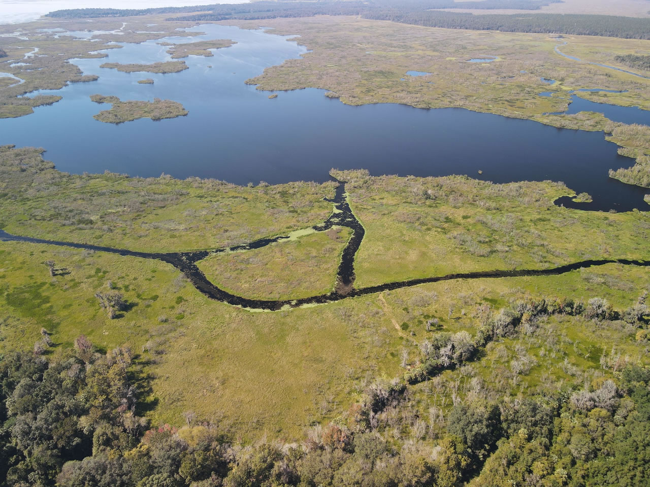 Aerial Shot of Orange Lake behind Citra Royal Palm RV Park