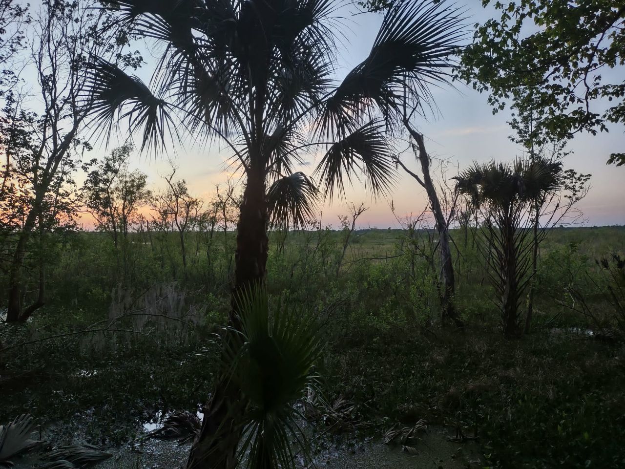 Sunset At The Rear Of Our Park Overlooking The savannah Surrounding Orange Lake At Citra Royal Palm RV Park