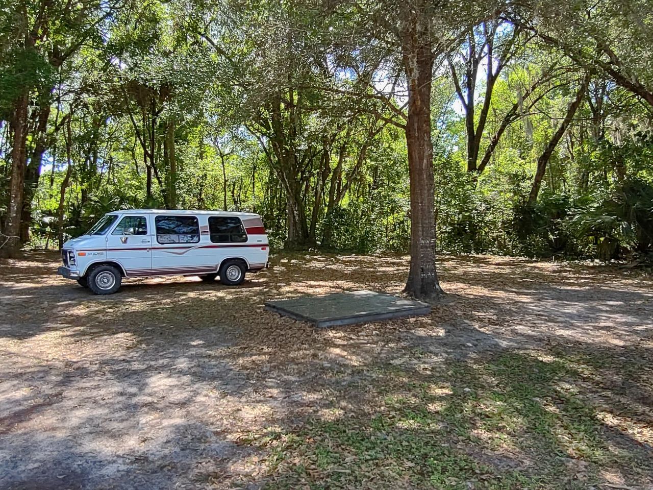 Van Camper Sites At Citra Royal Palm RV Park