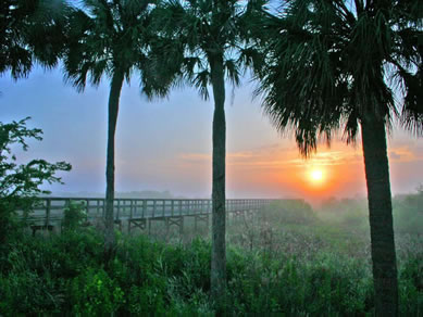 Look Over Paynes Prarie and See So Much Nature Near Our RV Park